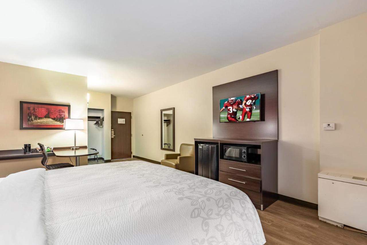 Superior King Room - Smoke Free at Red Roof Inn PLUS+ & Suites Houston - IAH Airport SW
