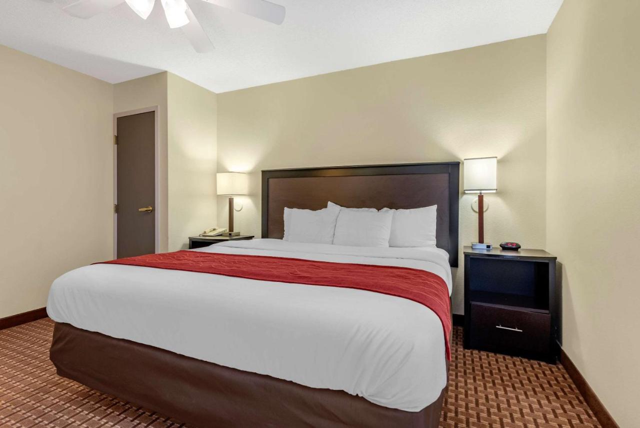 Room #48997411 at Comfort Inn & Suites Warsaw near US-30