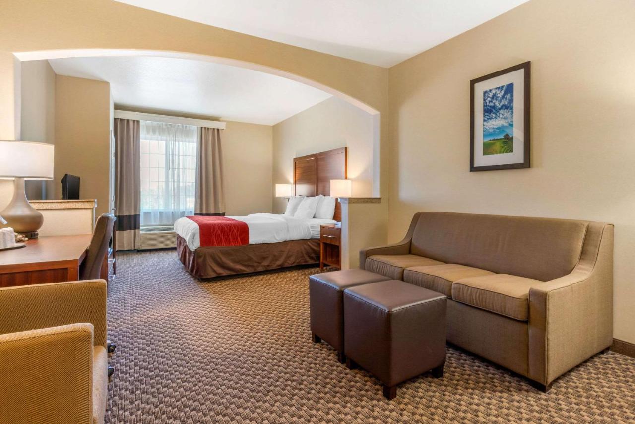 King Suite - Non-Smoking at Comfort Inn & Suites Galt - Lodi North