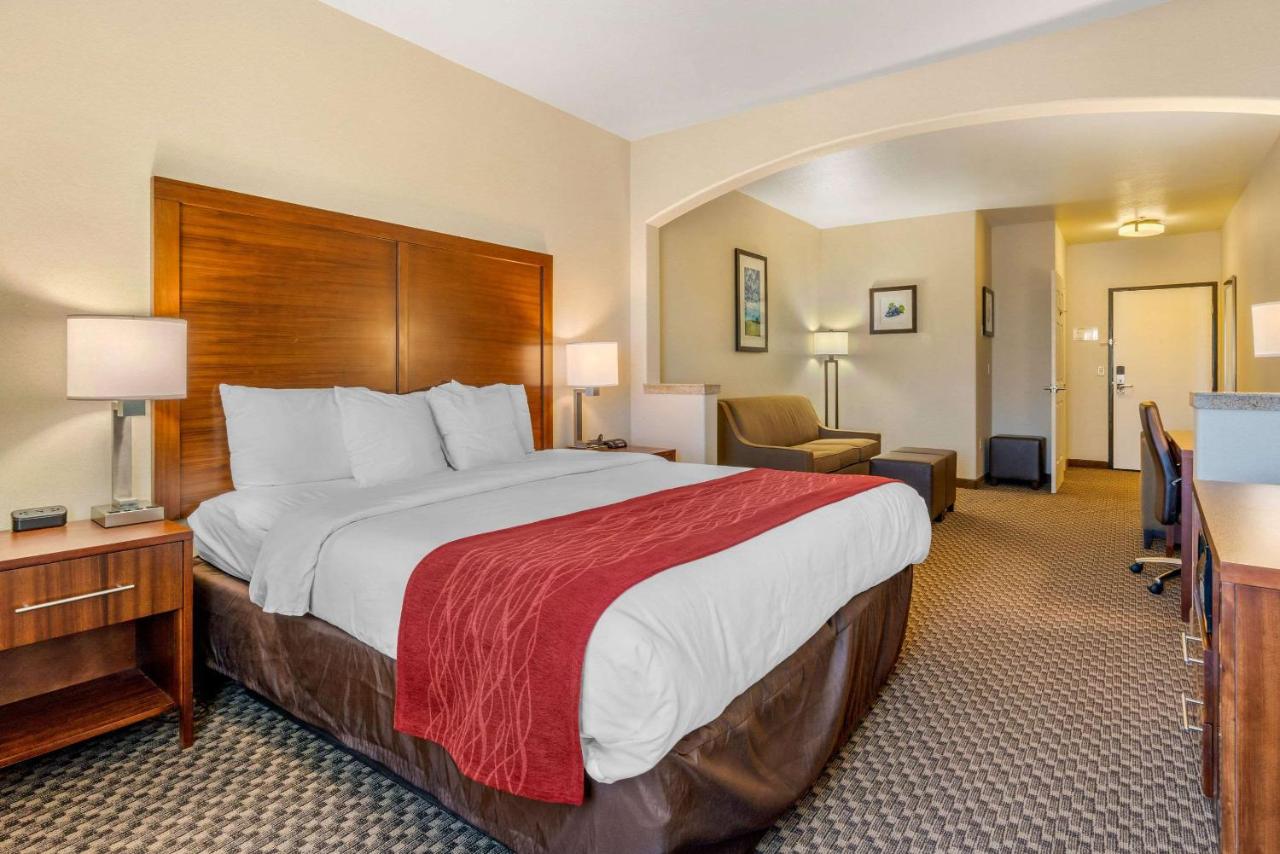 King Suite - Non-Smoking at Comfort Inn & Suites Galt - Lodi North