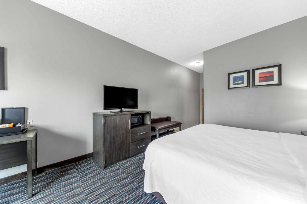 Standard King Room - Non-Smoking at Garner Hotel Oklahoma City - Quail Springs by IHG