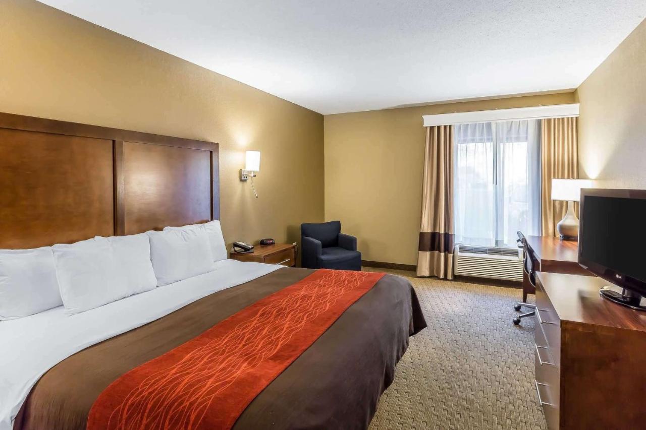 King Room - Non-Smoking at Comfort Inn & Suites Dalton West