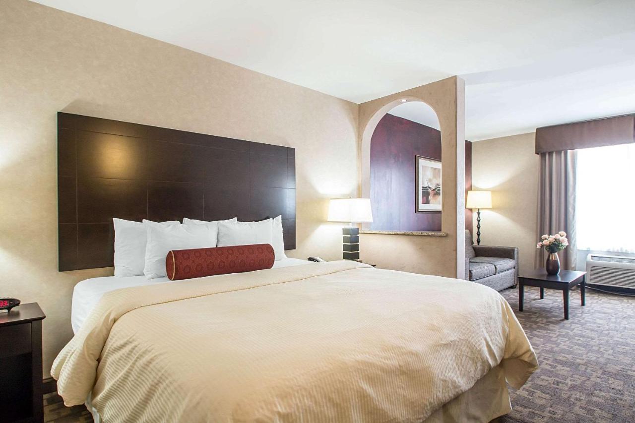 King Suite - Non-Smoking at Clarion Inn Elmhurst - Oak Brook near I-88, I-290, I-294