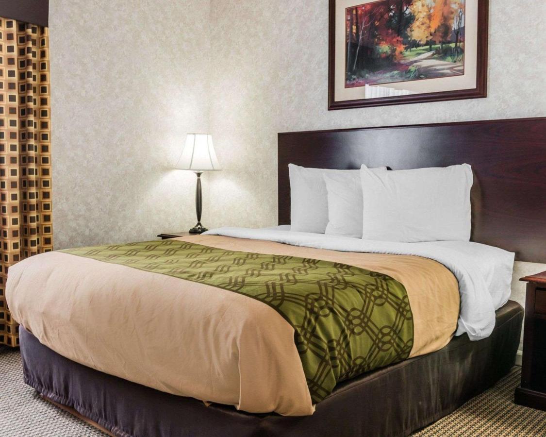 Queen Suite at Econo Lodge & Suites Grand Rapids Airport