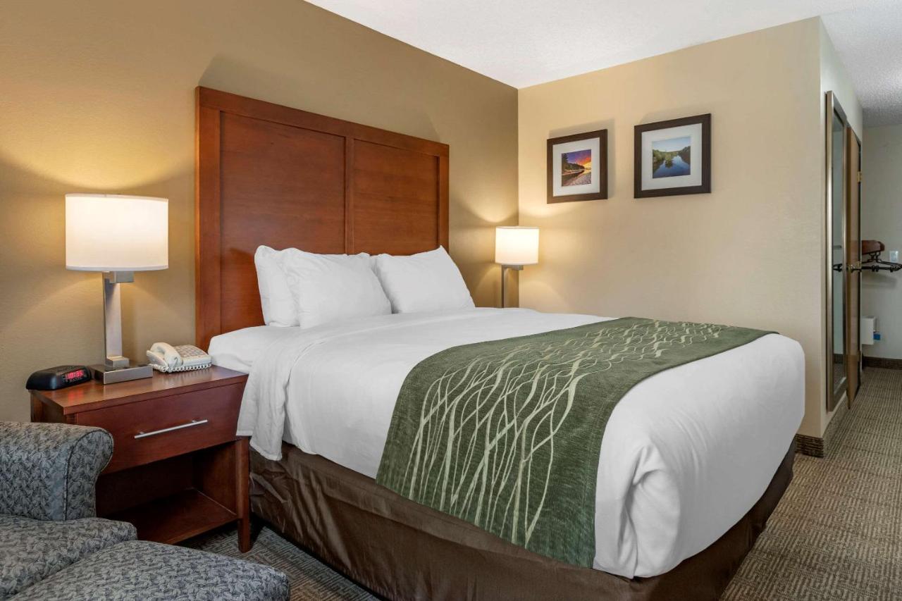 Queen Room - Accessible/Non-Smoking at Comfort Inn & Suites Diamondale – Lansing