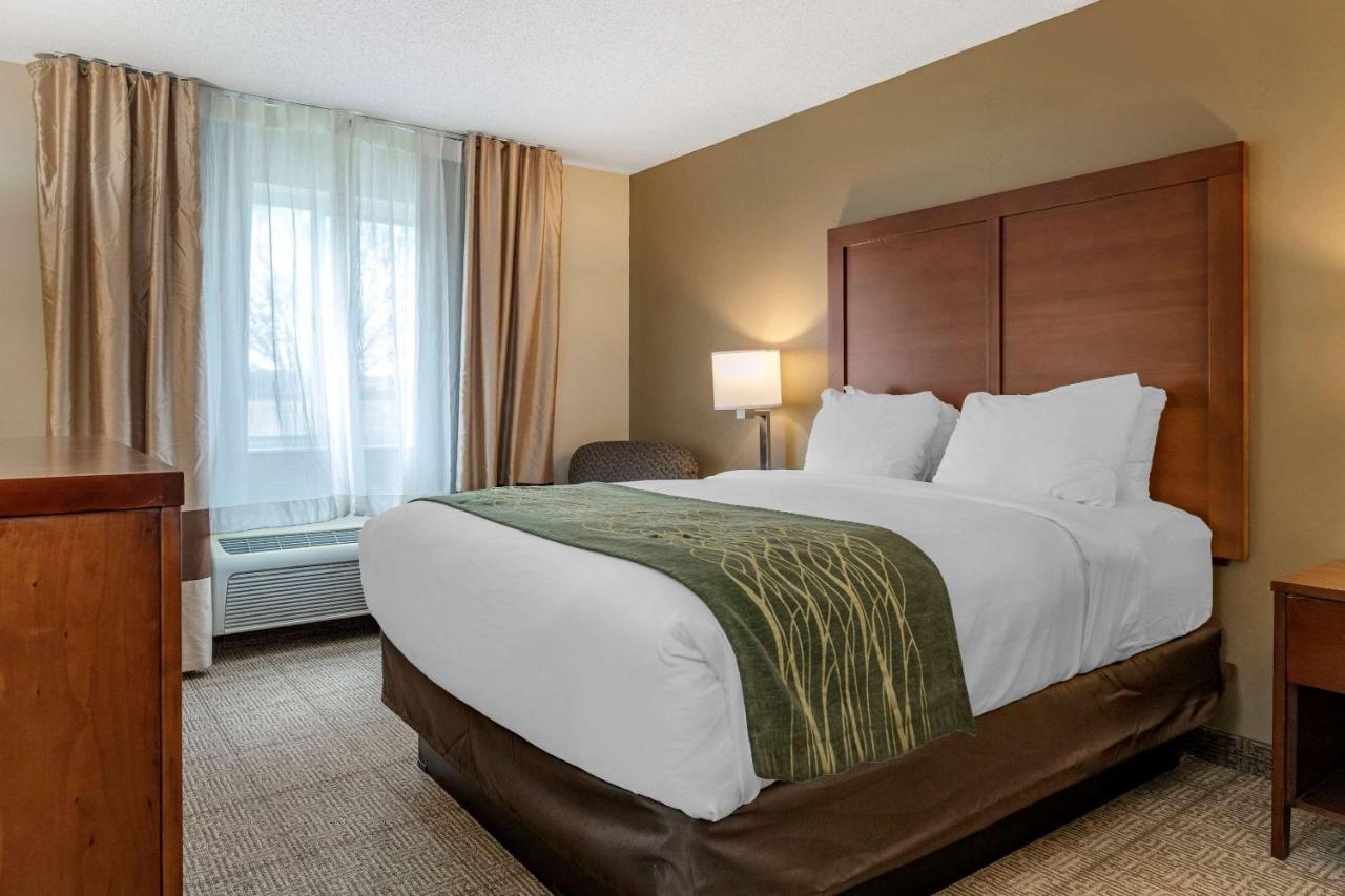 Queen Room - Accessible/Non-Smoking at Comfort Inn & Suites Diamondale – Lansing