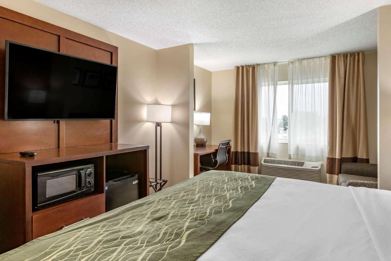King Suite - Non-Smoking at Comfort Inn & Suites Diamondale – Lansing