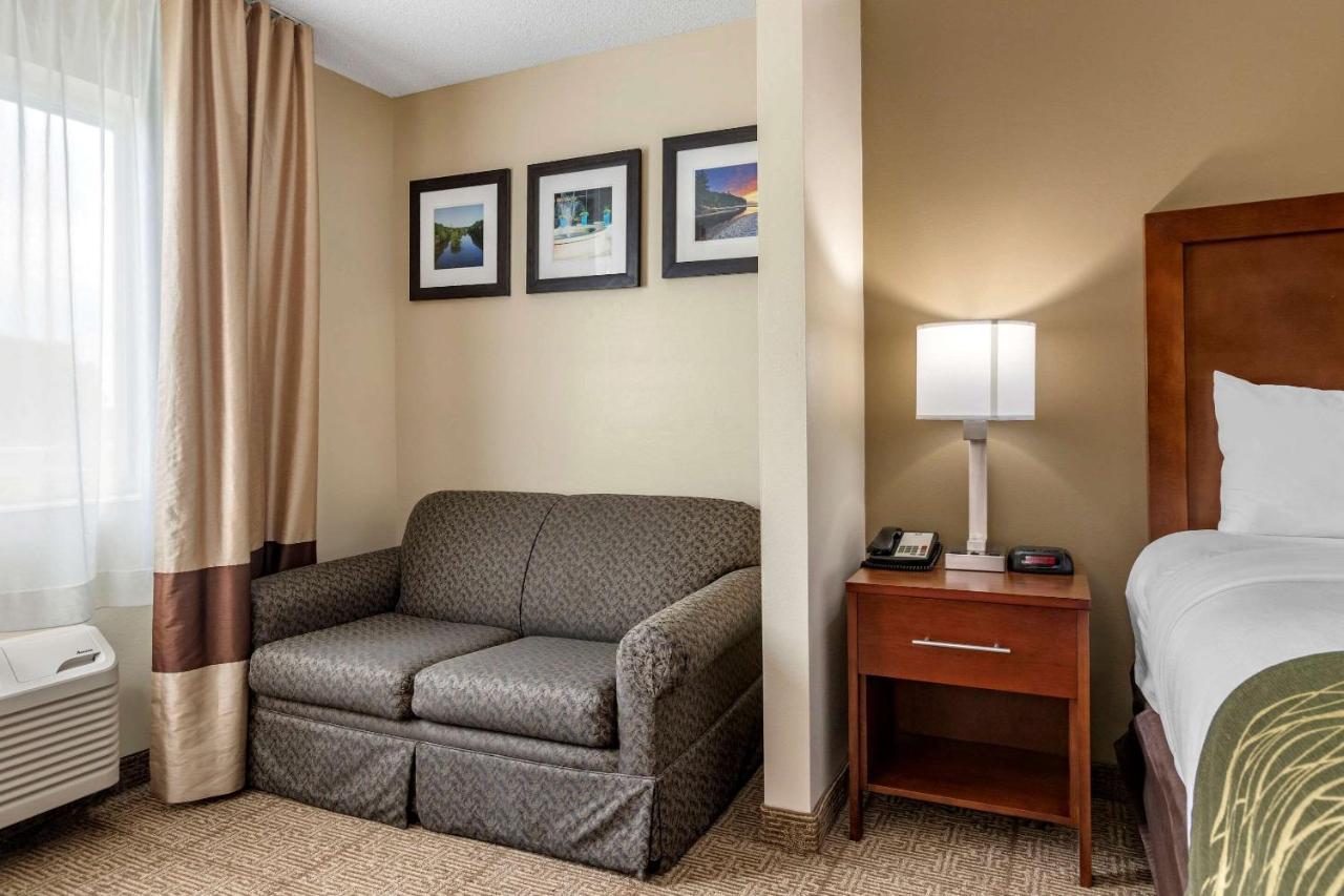 King Suite - Non-Smoking at Comfort Inn & Suites Diamondale – Lansing