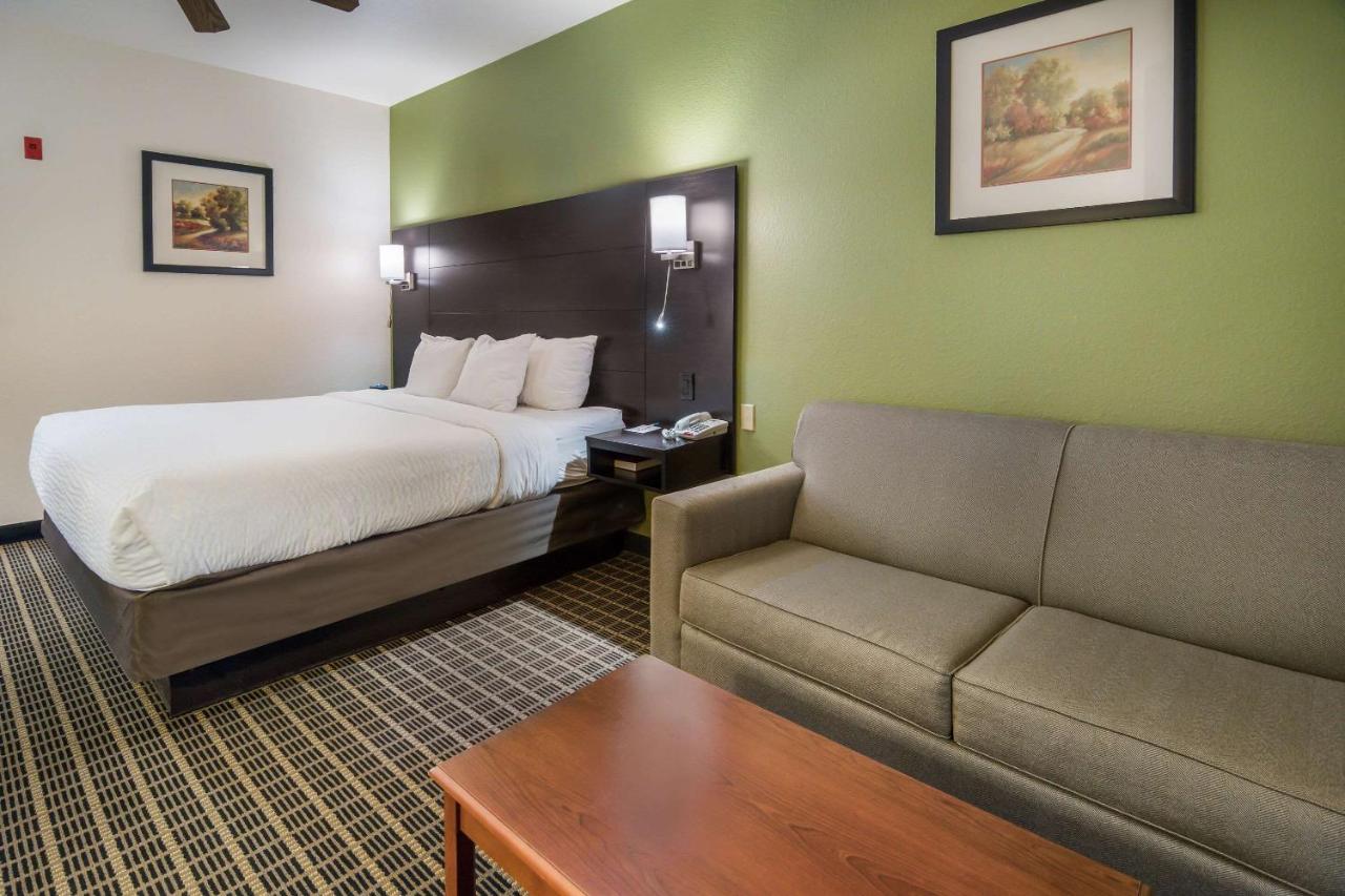 Standard King Room - Non-Smoking  at Clarion Inn & Suites Weatherford South