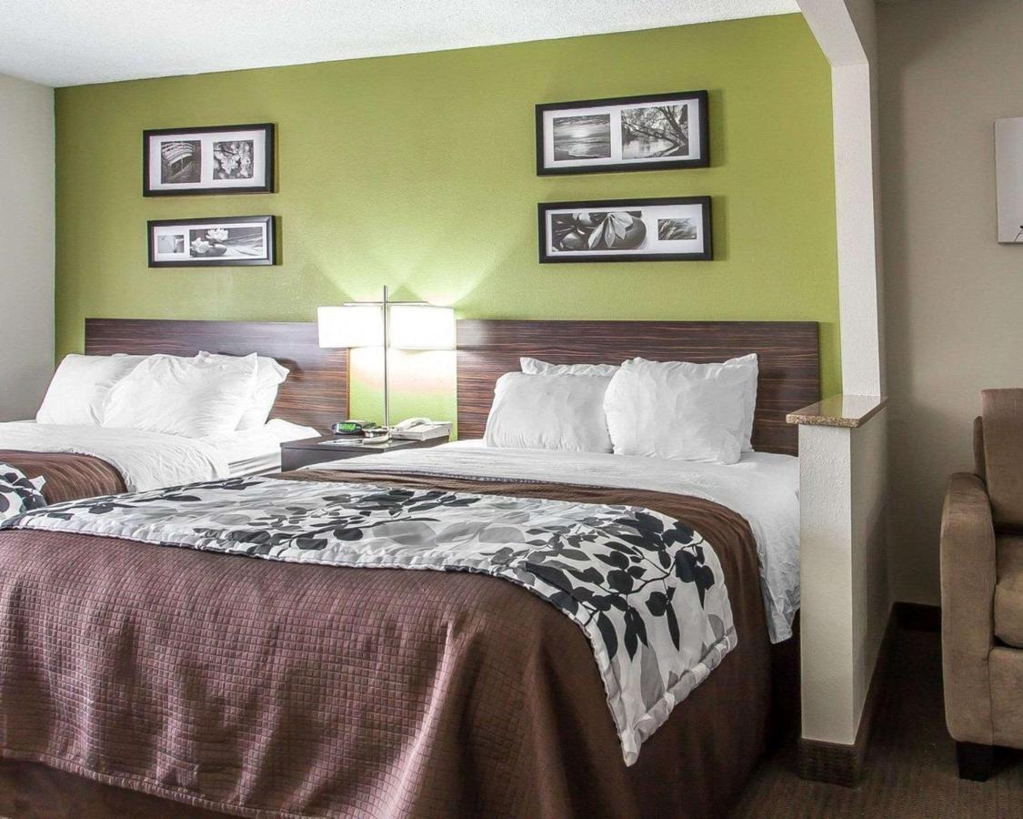 Queen Suite with Sofa Bed - Non-Smoking at Austinburg Hotel