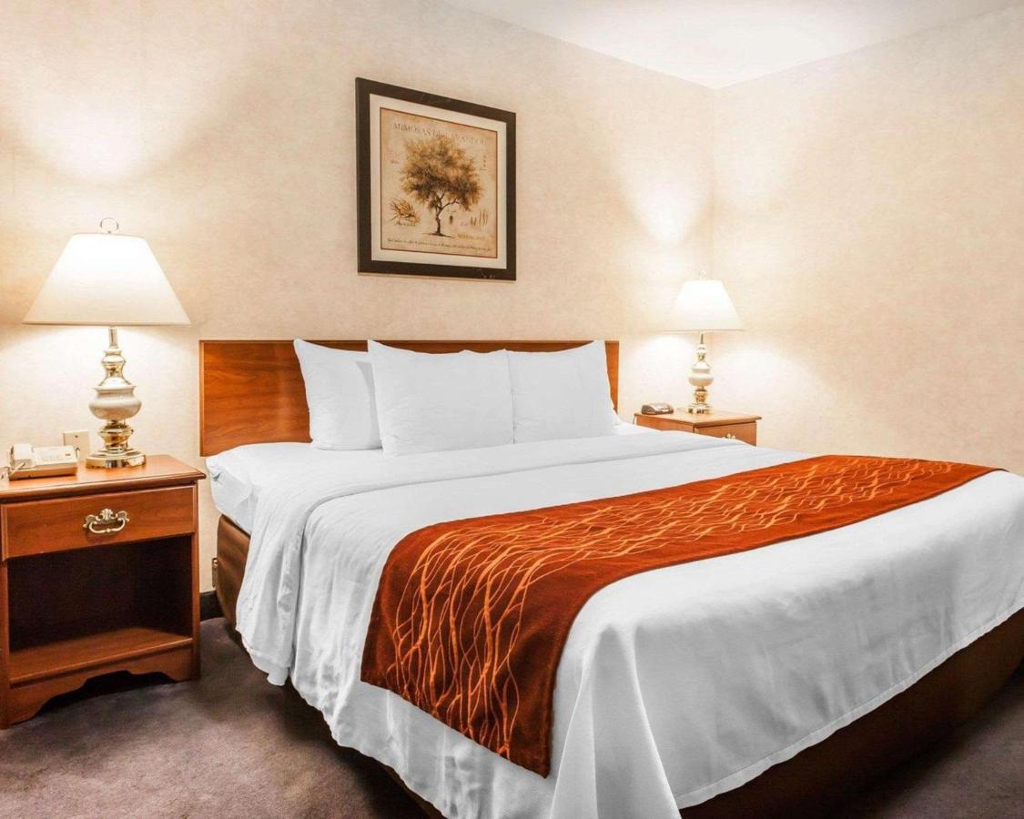 King Suite - Non-Smoking at Holiday Inn Express & Suites Tumwater – Olympia by IHG