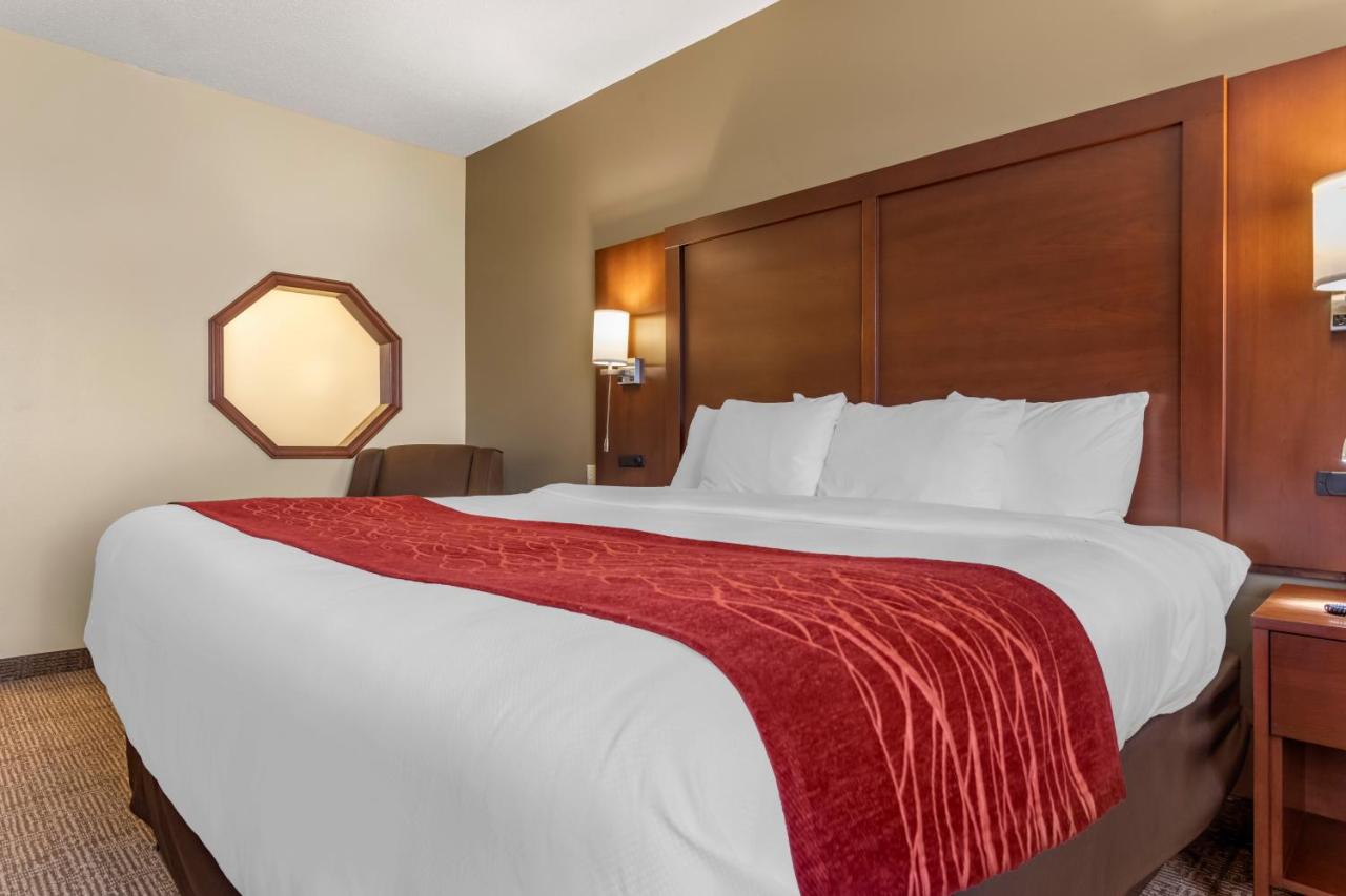 King Room - Accessible/Non-Smoking at Comfort Inn & Suites Streetsboro - Kent