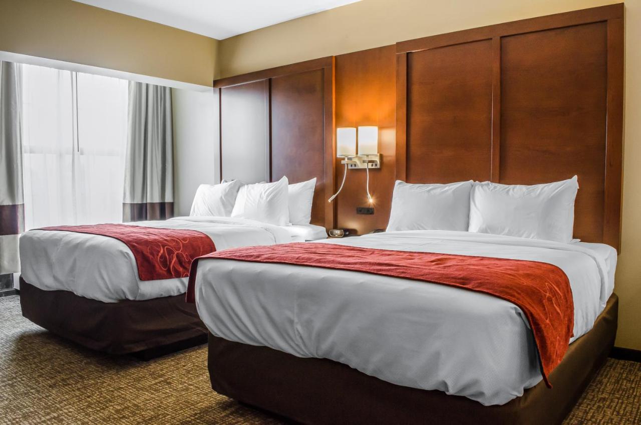 Suite with Two Queen Beds - Accessible/Non-Smoking at Comfort Suites Manheim - Lancaster