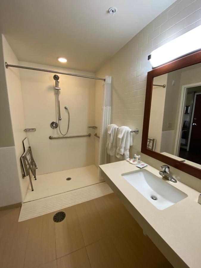 King Suite with Roll-in-Shower - Accessible/Non-Smoking at Comfort Suites Manheim - Lancaster
