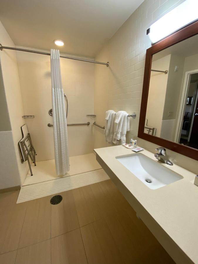 King Suite with Roll-in-Shower - Accessible/Non-Smoking at Comfort Suites Manheim - Lancaster