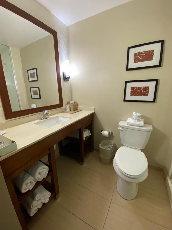 Suite with Two Queen Beds - Accessible/Non-Smoking at Comfort Suites Manheim - Lancaster
