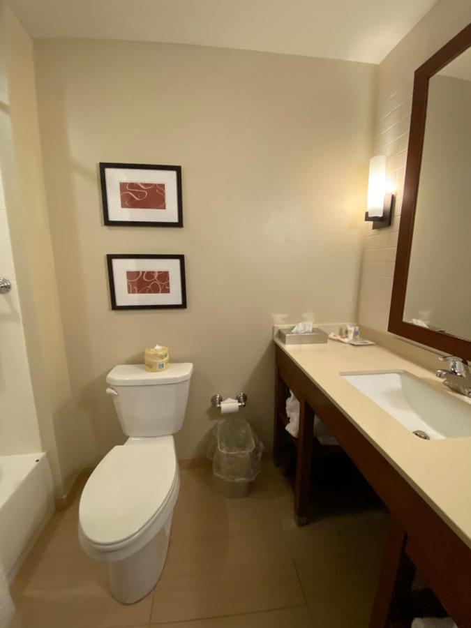 Queen Suite at Comfort Suites Manheim - Lancaster