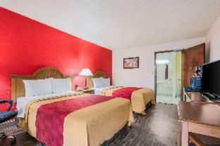 Room #48879714 at Econo Lodge Inn & Suites Flowood - Jackson Northeast