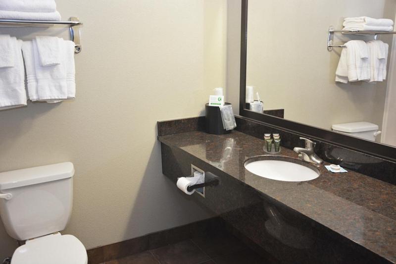 Deluxe Single Room at Roosevelt Inn and Suites