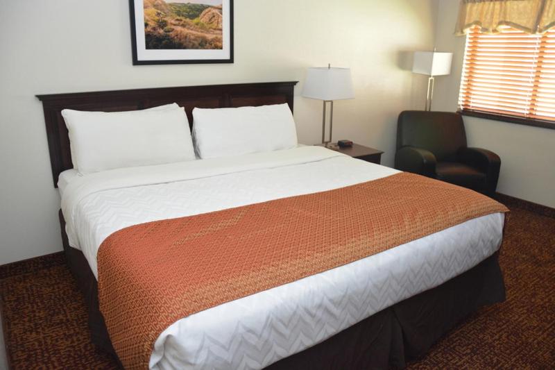 Standard Single Room at Roosevelt Inn and Suites