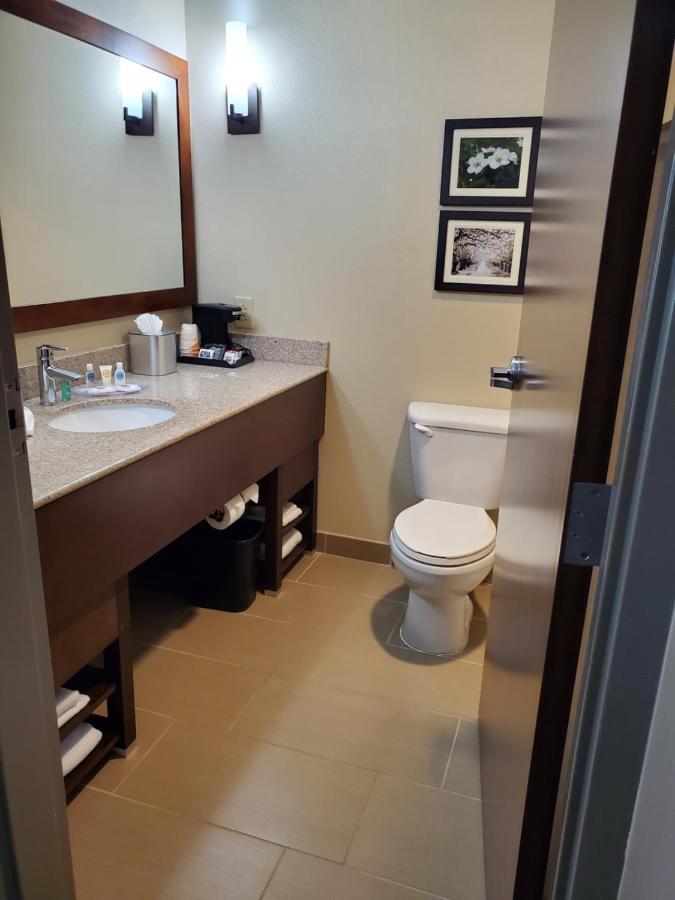 King Suite - Non-Smoking at Comfort Suites Little Rock West