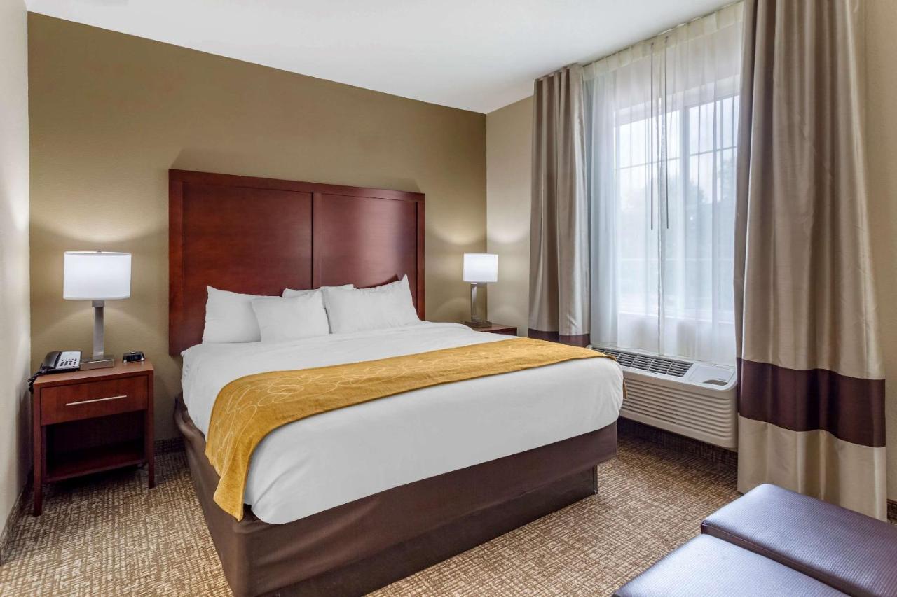 King Room - Non-Smoking at Comfort Suites Clarksville near Governors Square Mall