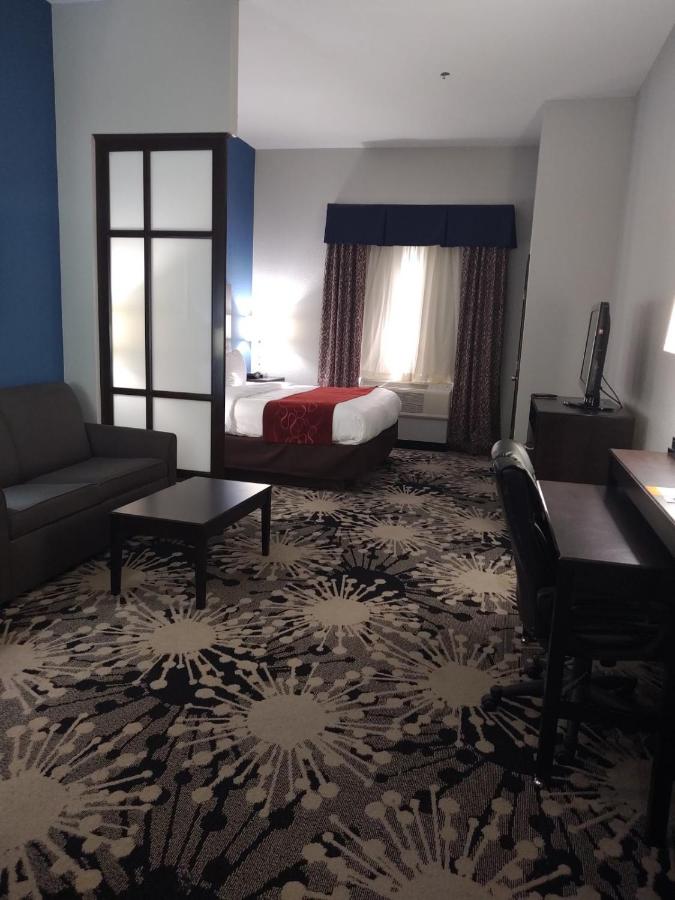 King Suite with Roll-in-Shower - Accessible/Non-Smoking at Comfort Suites Greenville
