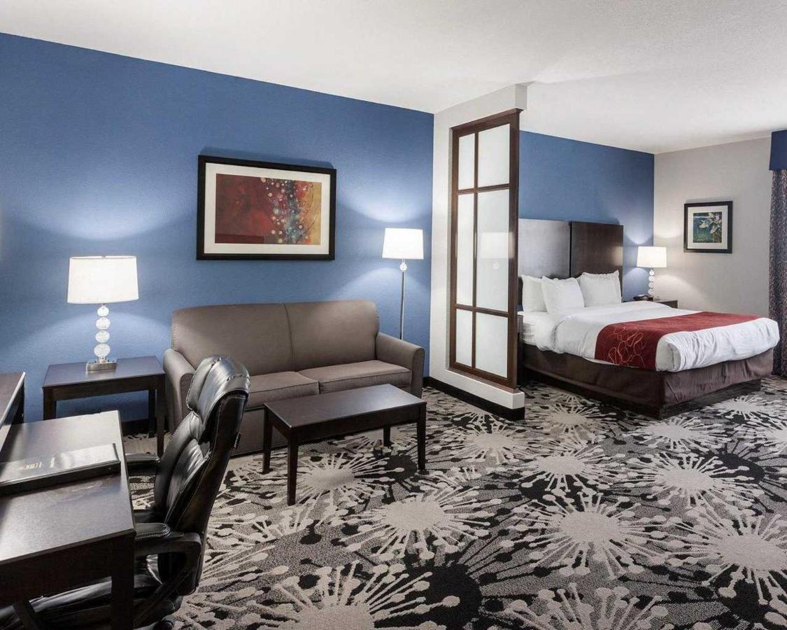 King Suite - Accessible/Non-Smoking at Comfort Suites Greenville