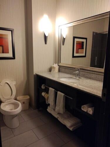 King Suite - Non-Smoking at Comfort Suites Greenville