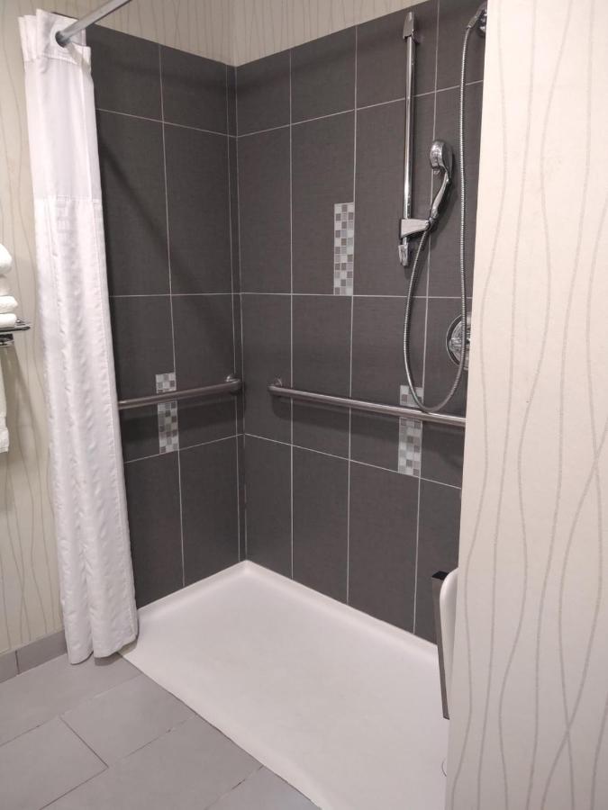 King Suite with Roll-in-Shower - Accessible/Non-Smoking at Comfort Suites Greenville