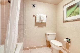 Room #26716834 at Super 8 by Wyndham Dallas Love Field Airport
