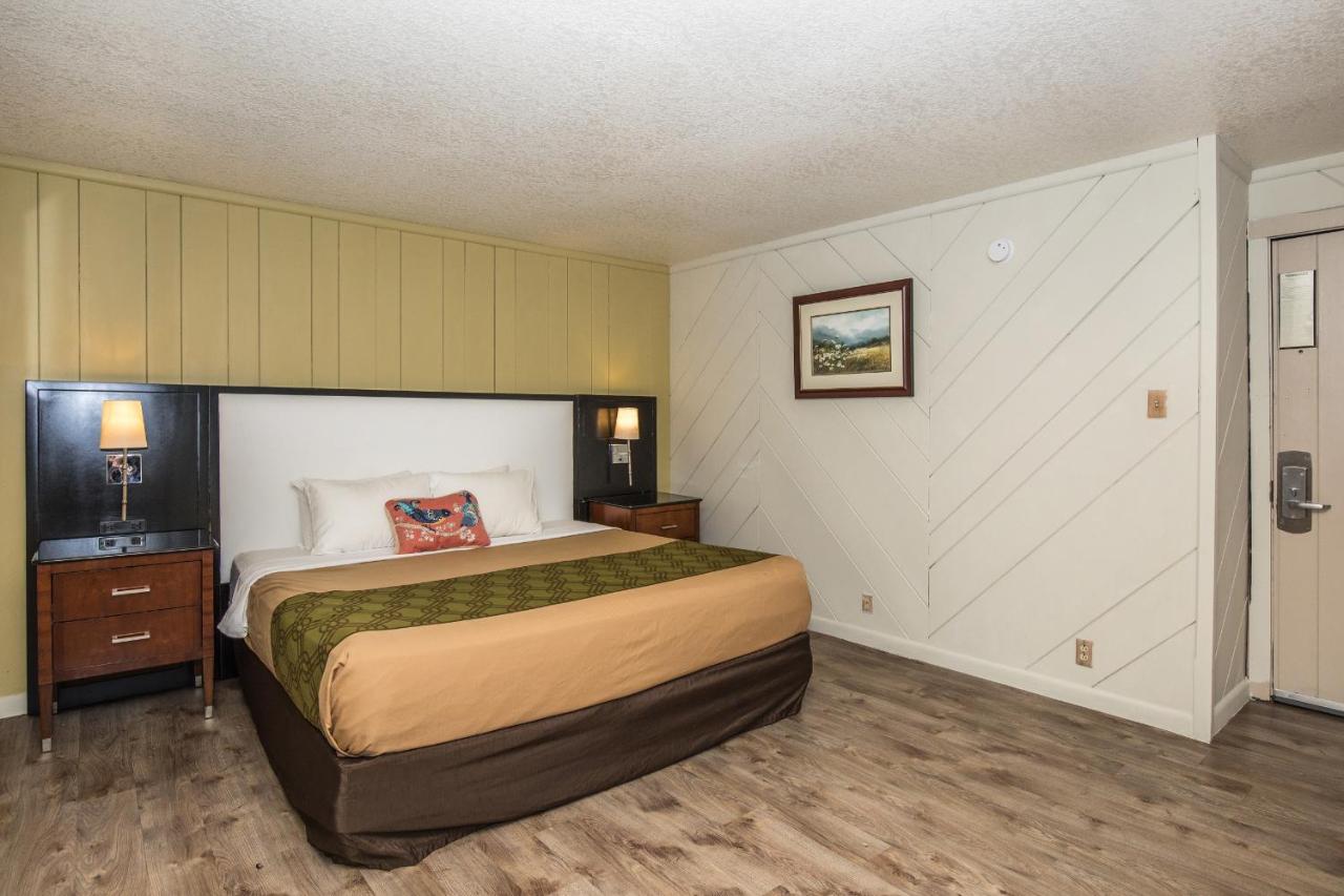 Deluxe King Room at Fabulous Chalet Inn