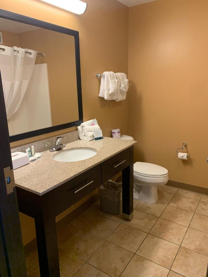 King Room - Non-Smoking at Quality Inn & Suites Minot North