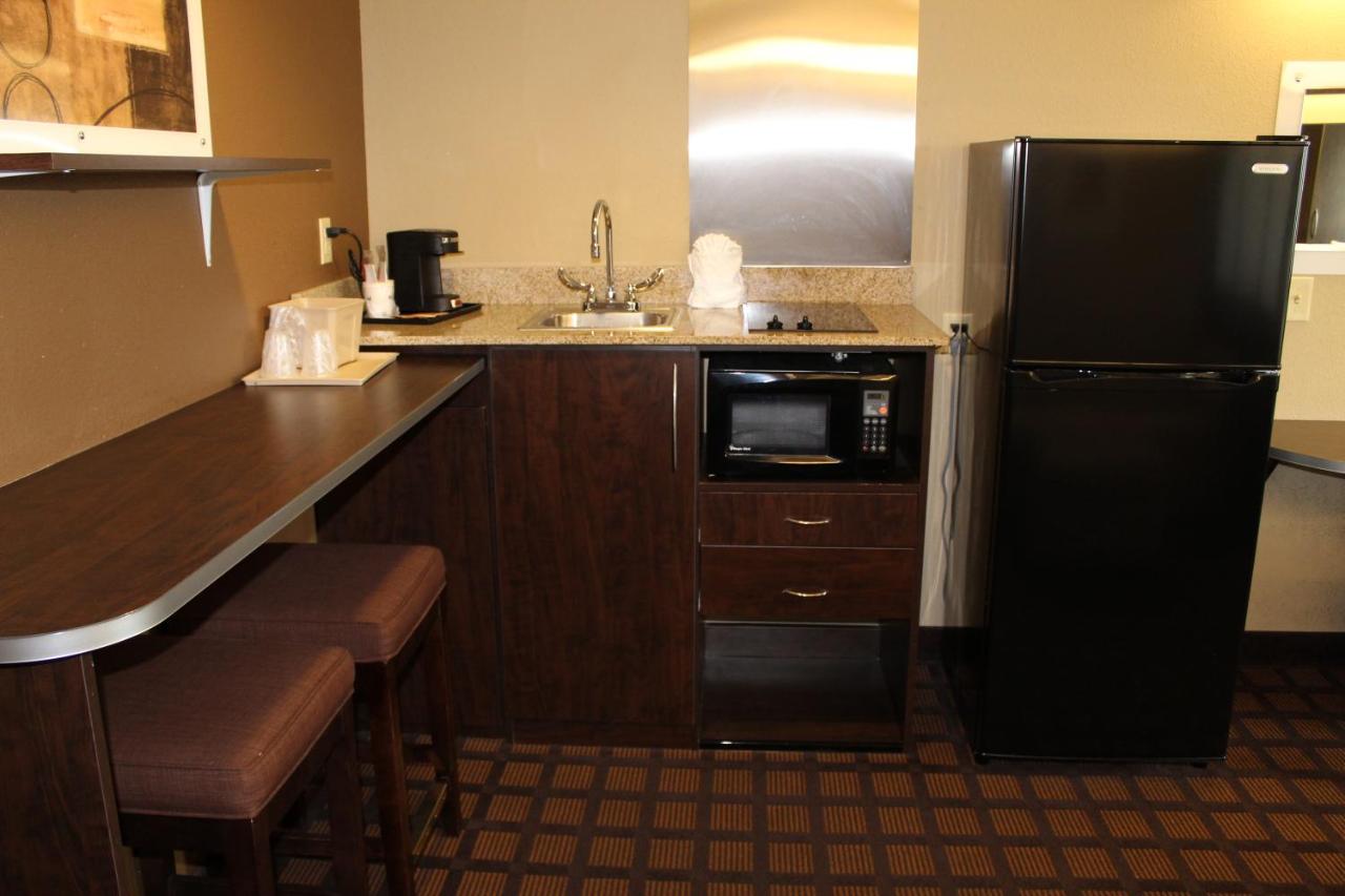 1 Queen Bed, Efficiency Suite, Non-Smoking at Microtel Inn & Suites by Wyndham Harrisonburg