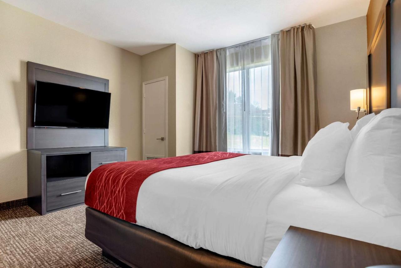 King Suite with Sofa Bed - Non-Smoking at Comfort Inn & Suites Millbrook - Prattville