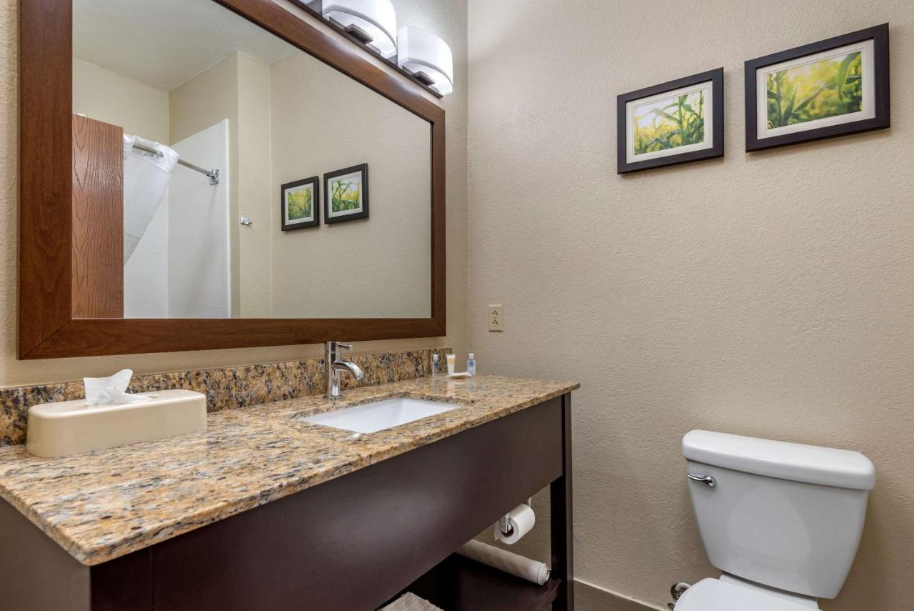 King Suite - Non-Smoking at Comfort Suites Auburn near I-69
