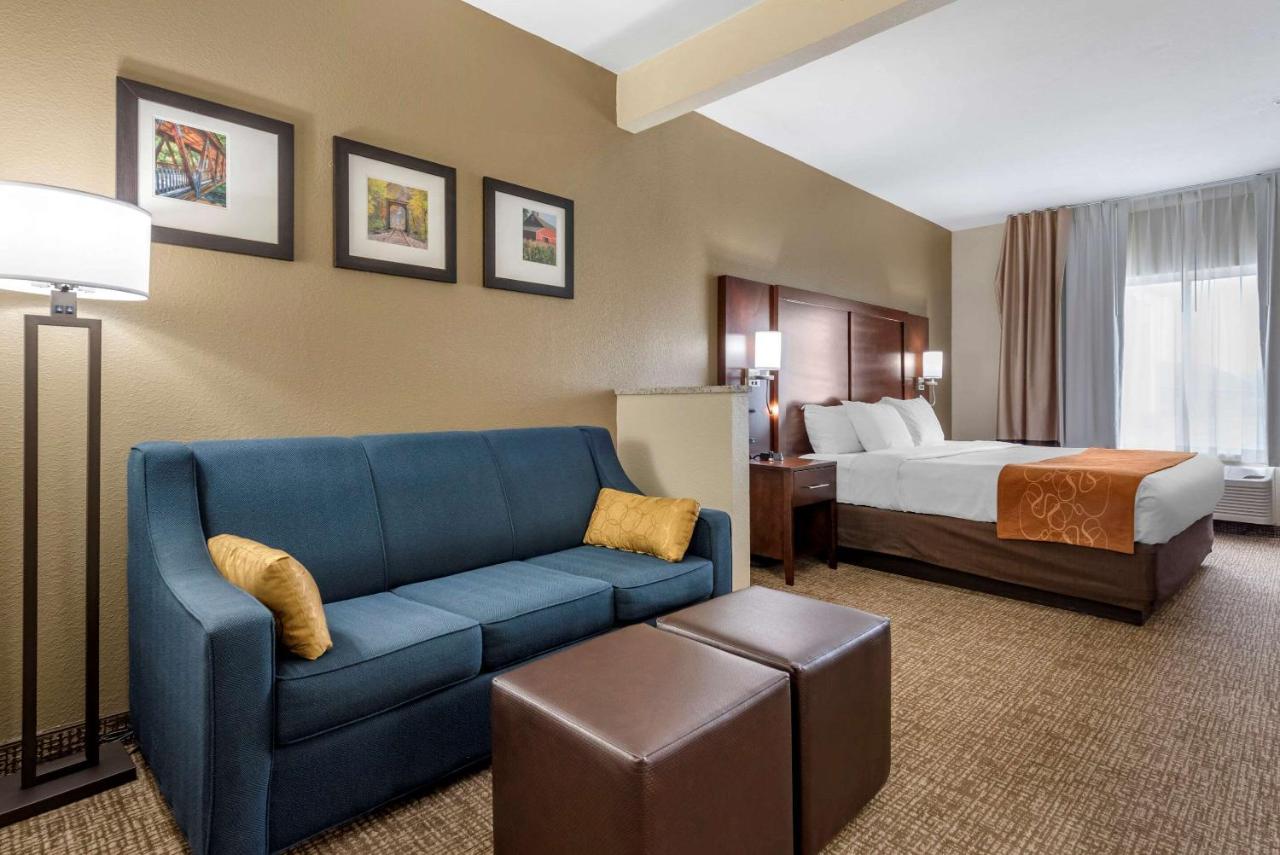King Suite - Non-Smoking at Comfort Suites Auburn near I-69