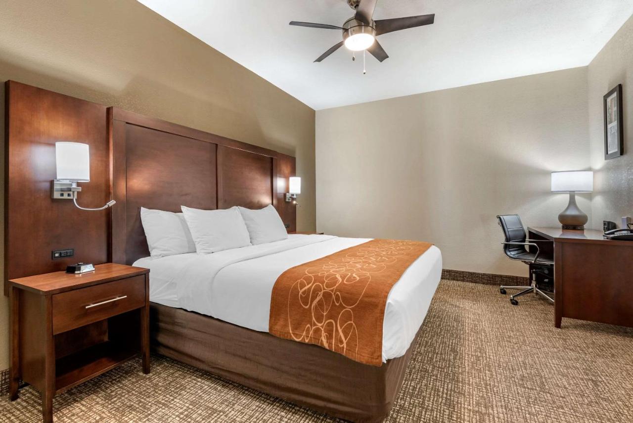 Family Room - Non-Smoking at Comfort Suites Auburn near I-69
