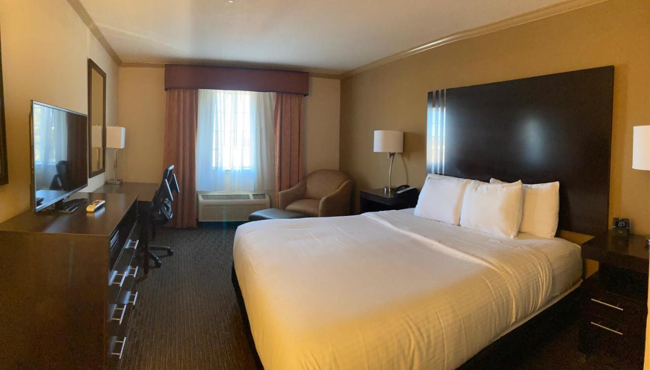 Deluxe King Room at La Quinta Inn & Suites by Wyndham Davis