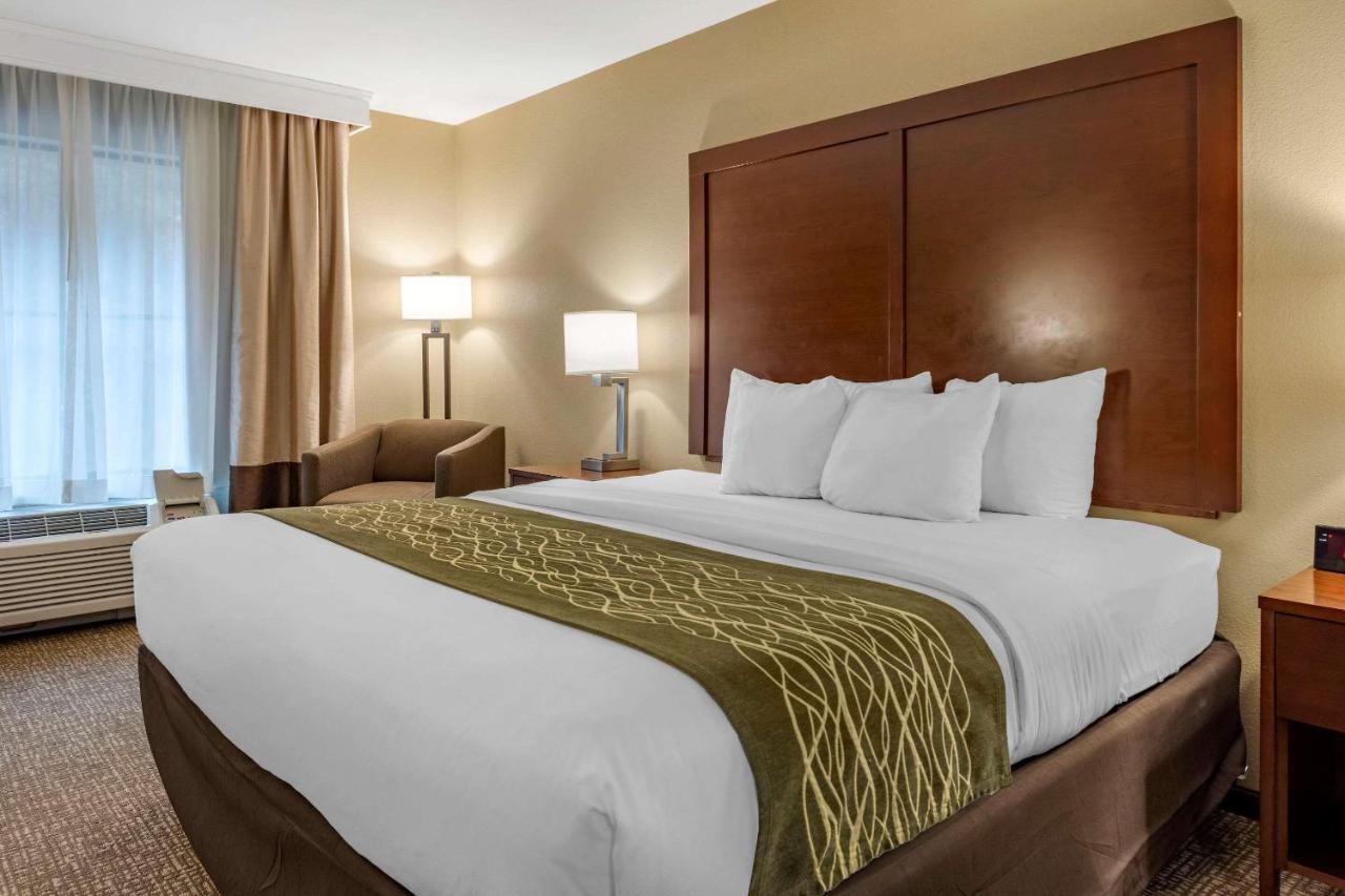 King Room - Non-Smoking at Comfort Inn & Suites Pittsburgh South