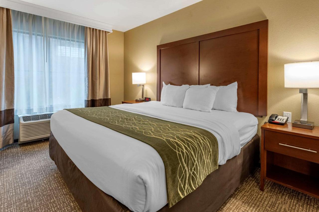 King Suite with Sofa Bed at Comfort Inn & Suites Pittsburgh South