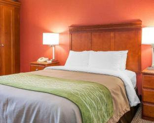Room #49112611 at Comfort Inn Oxford - University Area