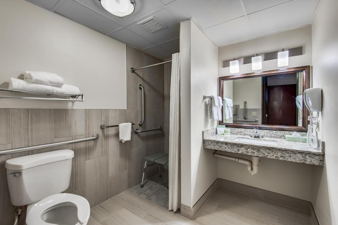 Suite - Mobility Access/Non-Smoking at AmericInn by Wyndham Coon Rapids