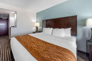 Room #45807712 at Comfort Inn & Suites Perry I-35