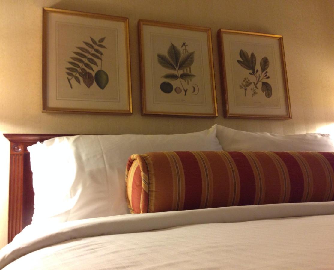Spa King at Mayflower Park Hotel
