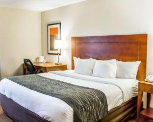 Room #2475714 at Comfort Inn Fayetteville near Fort Bragg
