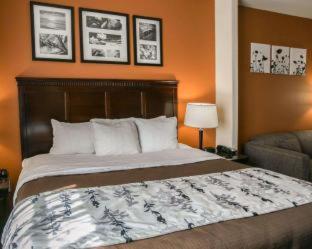 Room #24600514 at Sleep Inn & Suites Highway 290/NW Freeway