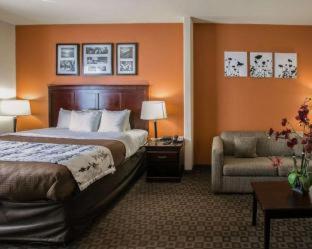 Room #24600514 at Sleep Inn & Suites Highway 290/NW Freeway