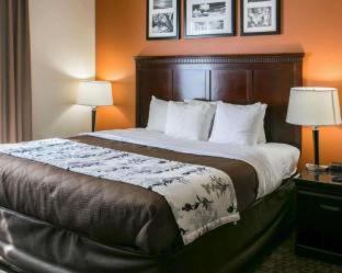 Room #24600514 at Sleep Inn & Suites Highway 290/NW Freeway