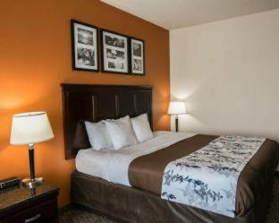 Room #24600515 at Sleep Inn & Suites Highway 290/NW Freeway